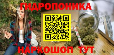 мет Можга