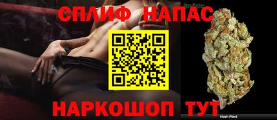МДПВ Моздок