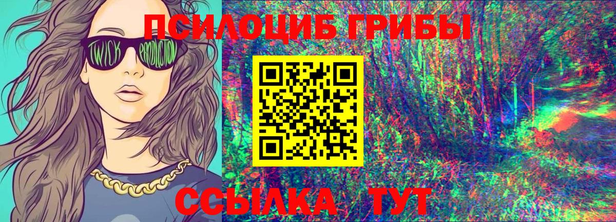 Галлюциногенные грибы Cubensis Усть-Кут