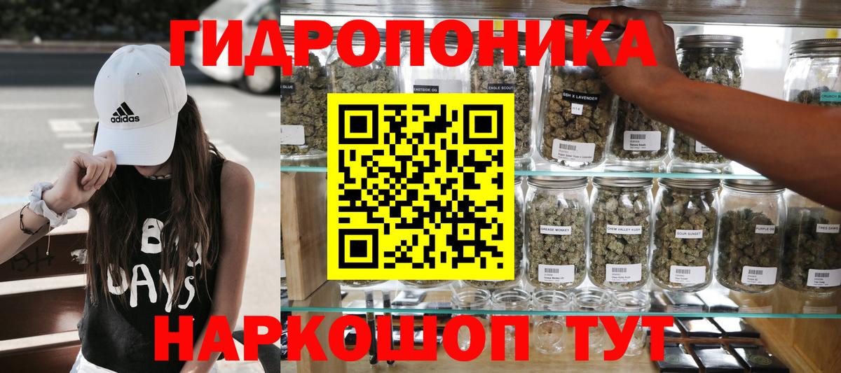 Каннабис планчик  Усть-Кут  Конопля план  Марихуана конопля 